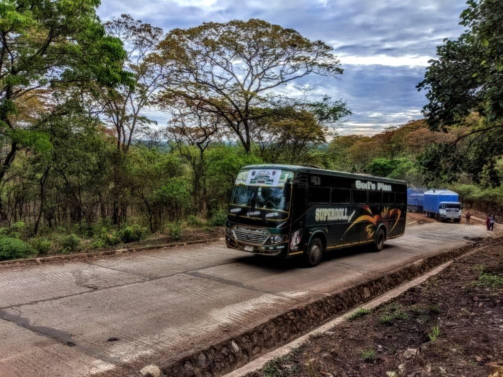 Students boarding a Travel with Hawkins bus